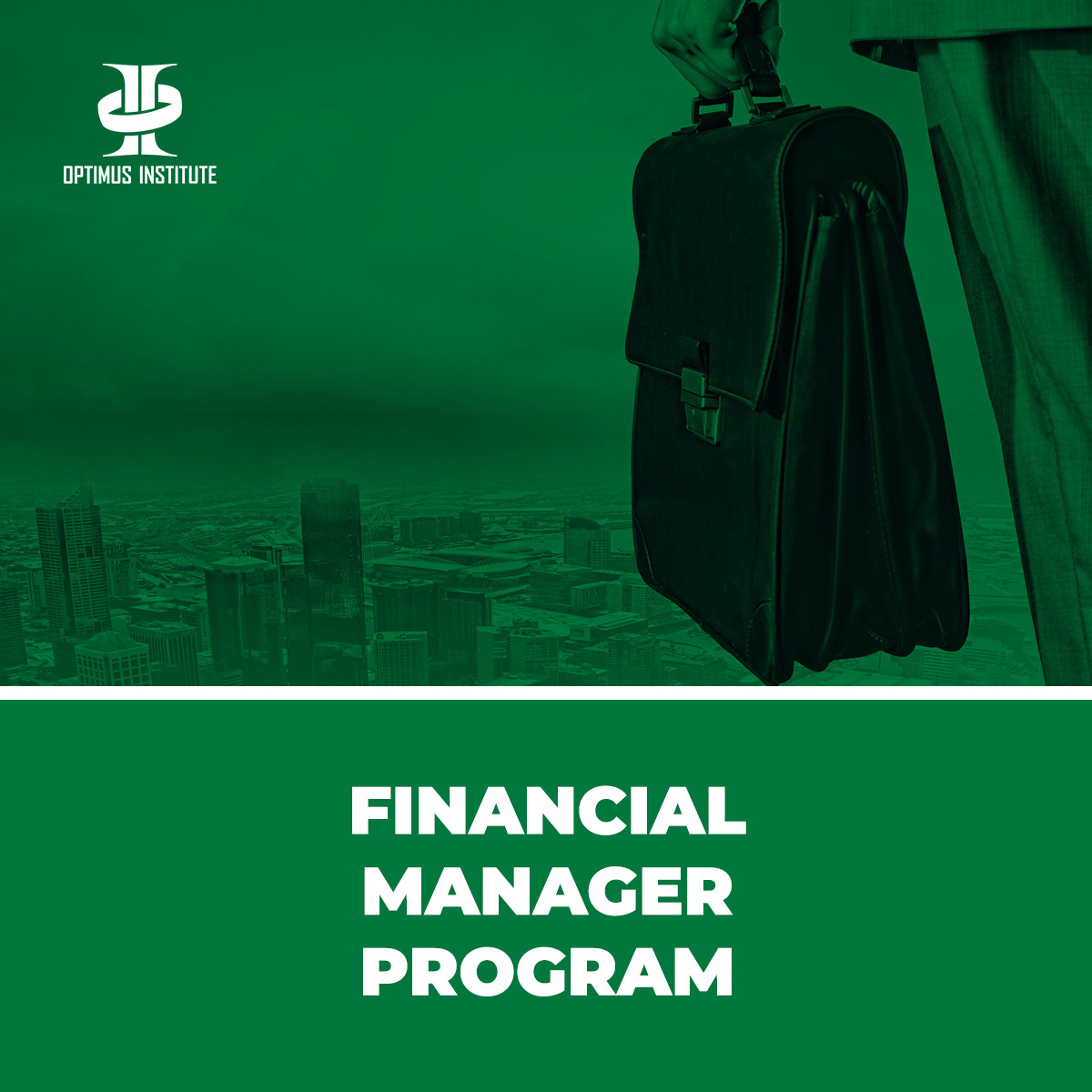 Financial-Manager-Program