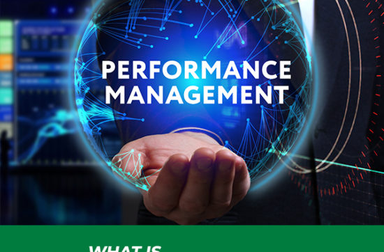 What is performance management process?